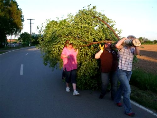 3_Pfingsten 2008_Frauen_104.jpg