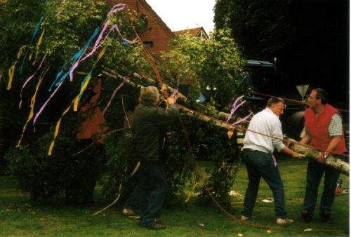 Maibaum_5.jpg